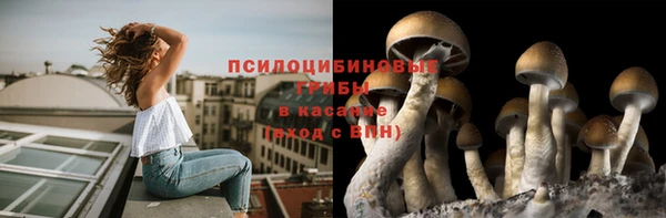 мет Михайловск
