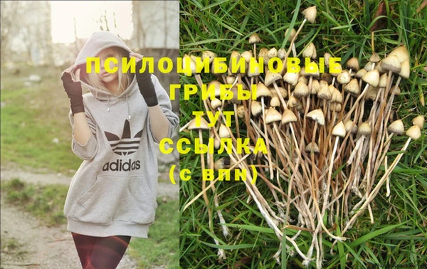 mdma Михайлов